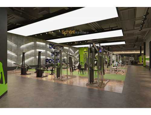 第六天：休息    （讲解肌肉解剖知识）