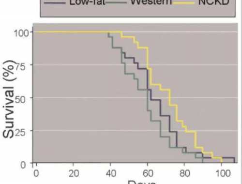 乳清蛋白粉与肌酸搭配服用的方法