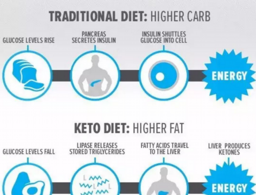 杠铃俯身划船练背阔肌详细讲解