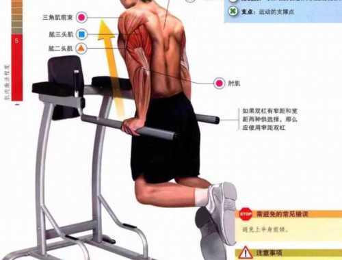 征文：不要轻意对“健身”说放弃