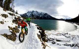 分析师看金价 | 1800美元上还是下？